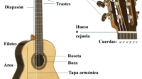 Partes de la guitarra Española y Flamenca